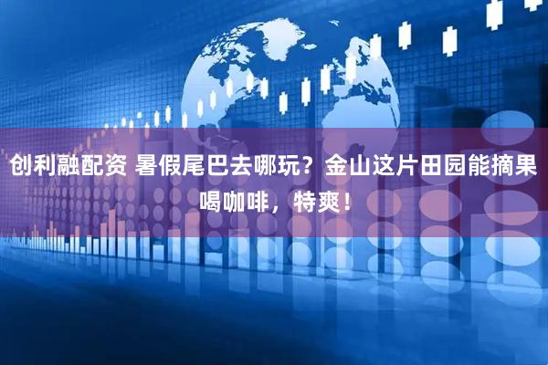 创利融配资 暑假尾巴去哪玩？金山这片田园能摘果喝咖啡，特爽！