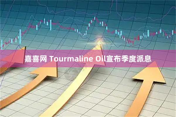 嘉喜网 Tourmaline Oil宣布季度派息