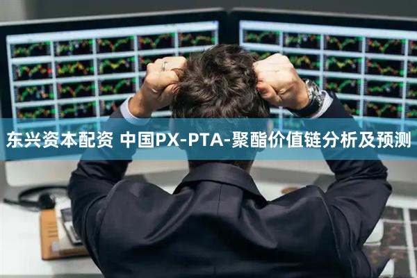 东兴资本配资 中国PX-PTA-聚酯价值链分析及预测
